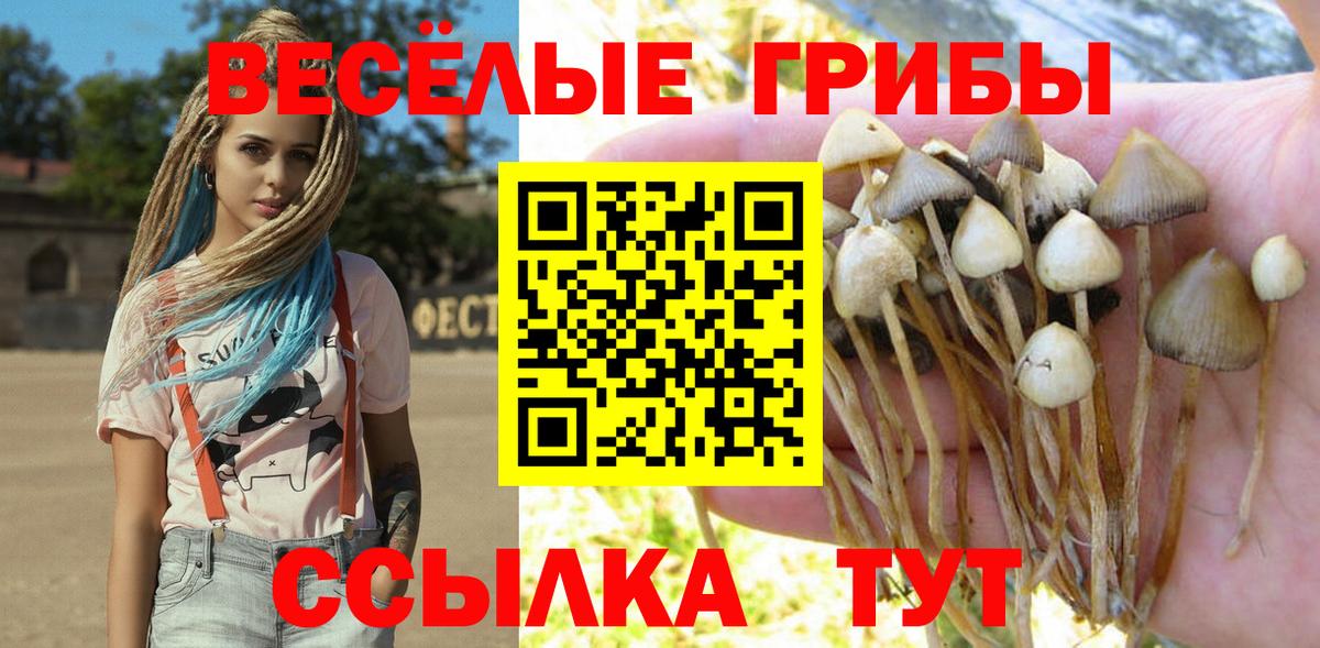 Псилоцибиновые грибы Magic Shrooms Кондопога