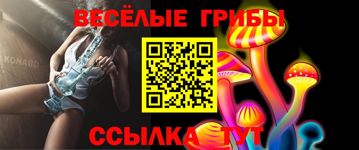 Галлюциногенные грибы Magic Shrooms  Галлюциногенные грибы Cubensis  Кондопога  Вход с VPN 